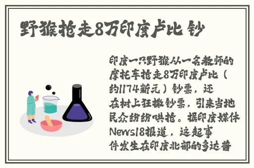 btkitty搜索引擎